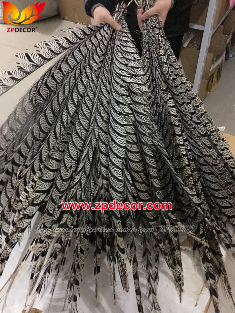 Zpdecor Feathers Factory Wholesale Dyed Lady Amherst Pheasant Zebra Tail Feathers for Carnival Costumes Design