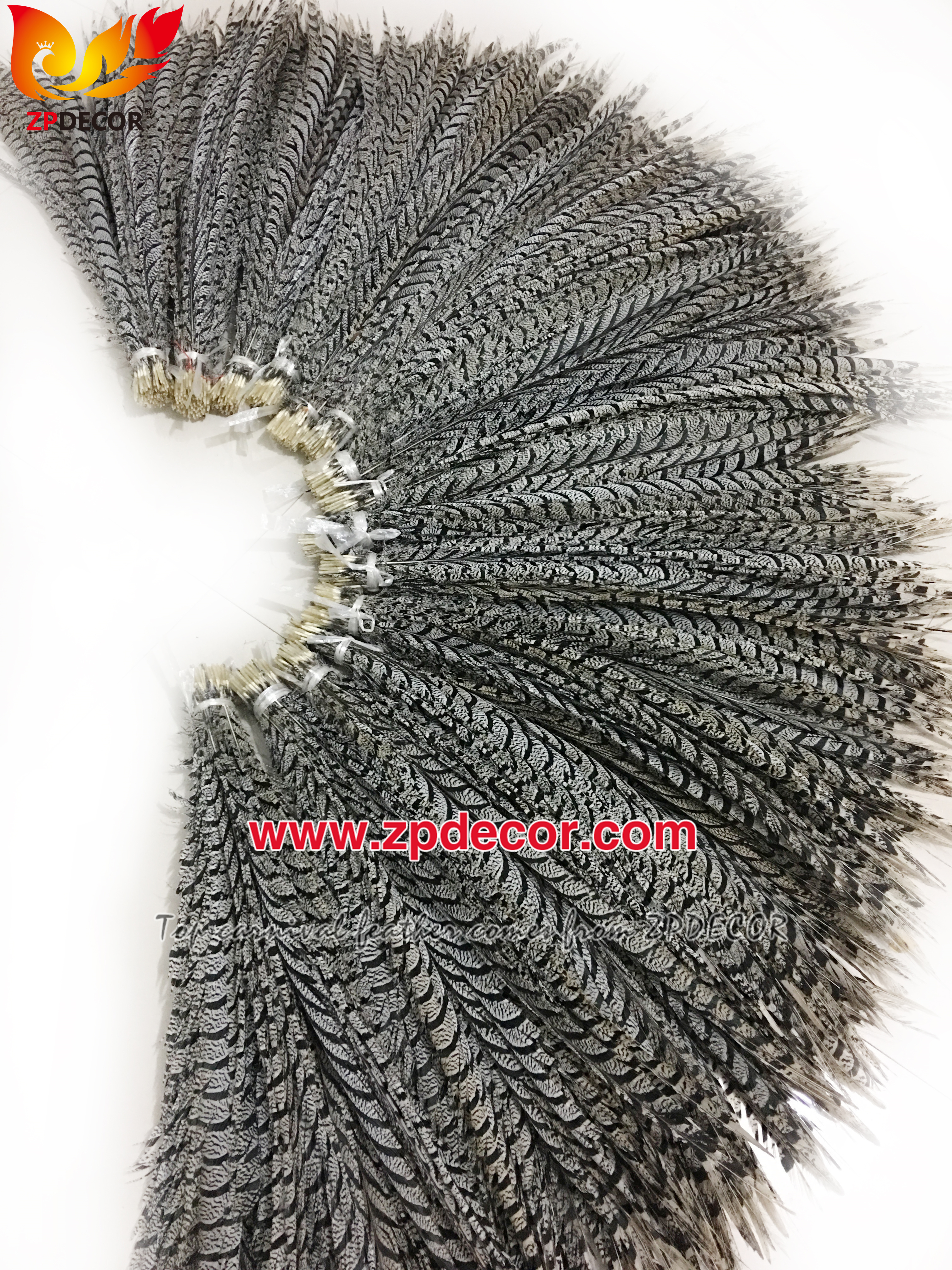 Zpdecor Feathers Factory Wholesale Natural Lady Amherst Pheasant Zebra Tail Feathers for Carnival Costumes Design