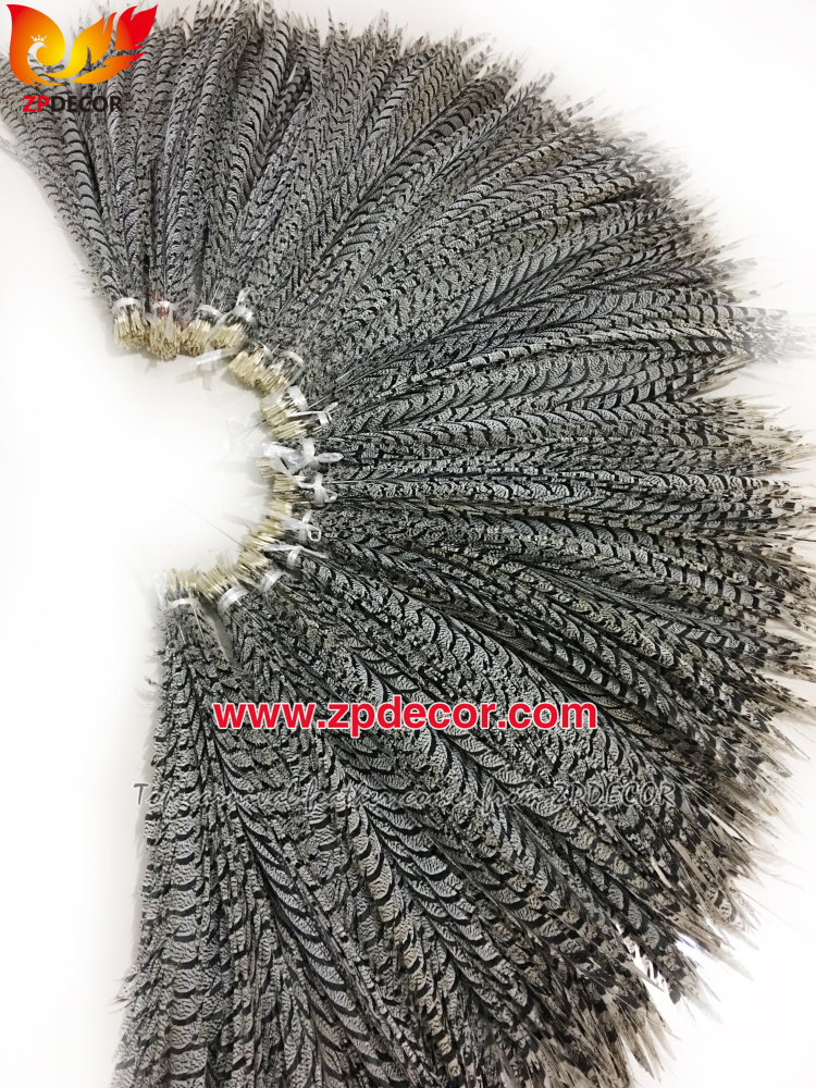 Zpdecor Feathers Factory Wholesale Natural Lady Amherst Pheasant Zebra Tail Feathers for Carnival Costumes Design