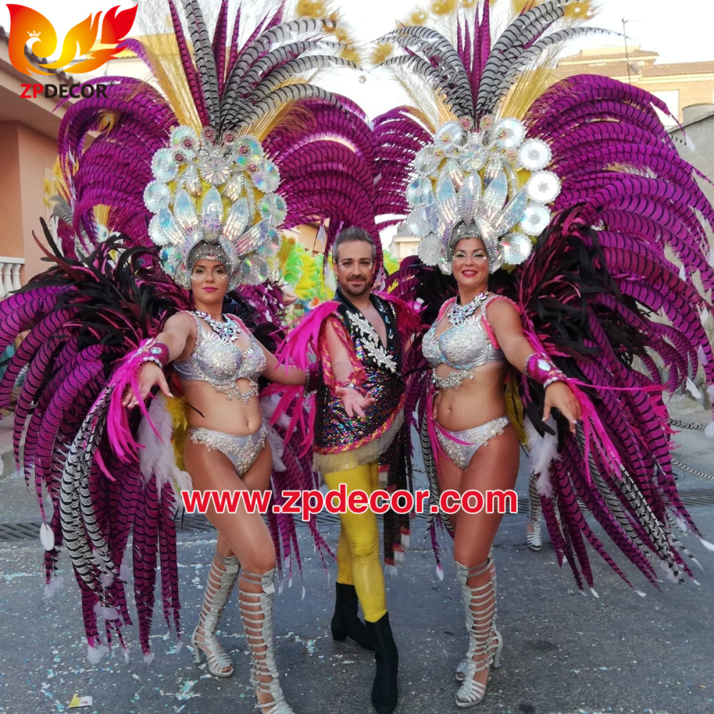 Zpdecor Feathers Factory Wholesale Dyed Lady Amherst Pheasant Zebra Tail Feathers for Carnival Costumes Design