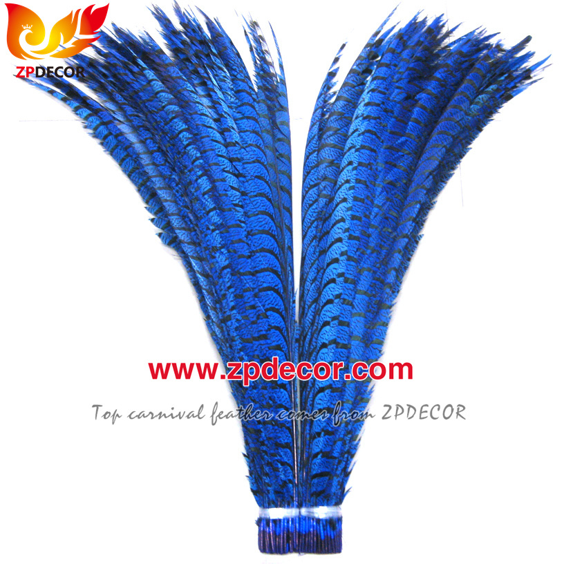 Zpdecor Feathers Factory Wholesale Dyed Lady Amherst Pheasant Zebra Tail Feathers for Carnival Costumes Design