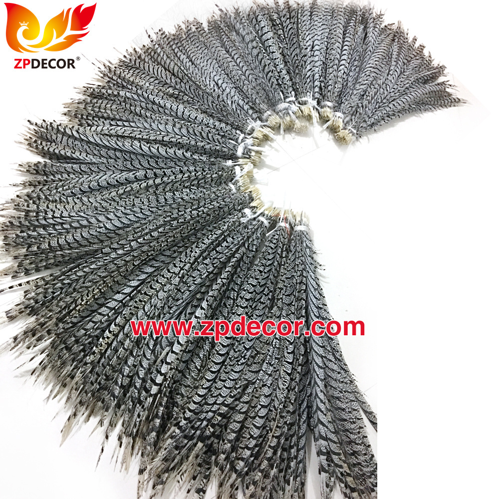 Zpdecor Feathers Factory Wholesale Natural Lady Amherst Pheasant Zebra Tail Feathers for Carnival Costumes Design