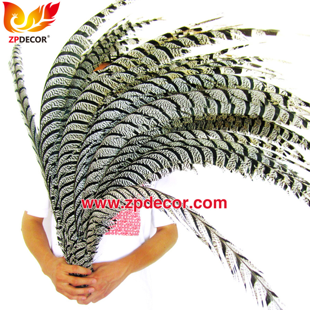 Zpdecor Feathers Factory Wholesale Natural Lady Amherst Pheasant Zebra Tail Feathers for Carnival Costumes Design