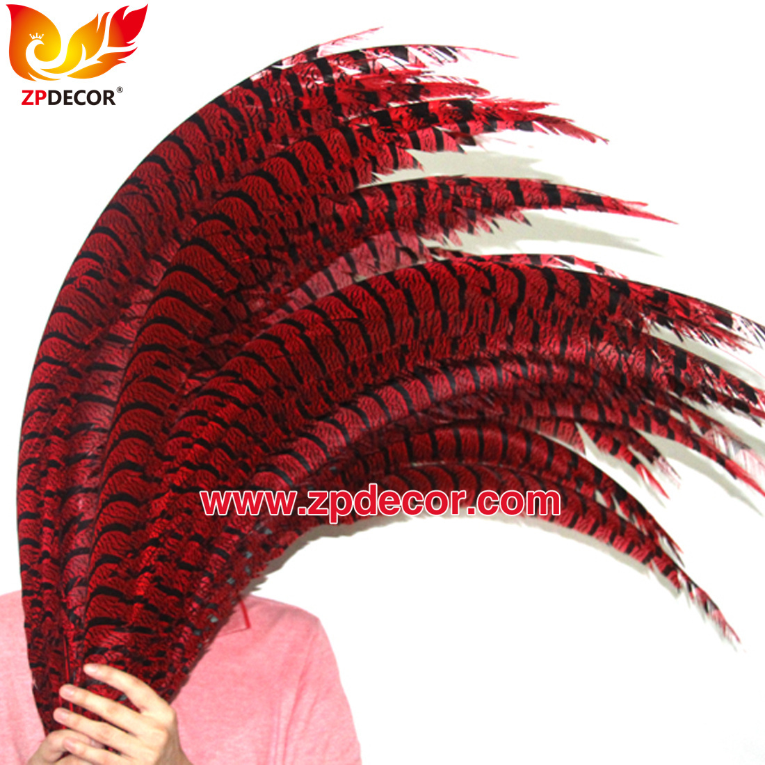 Zpdecor Feathers Factory Wholesale Dyed Red Lady Amherst Pheasant Zebra Tail Feathers for Carnival Costumes Design