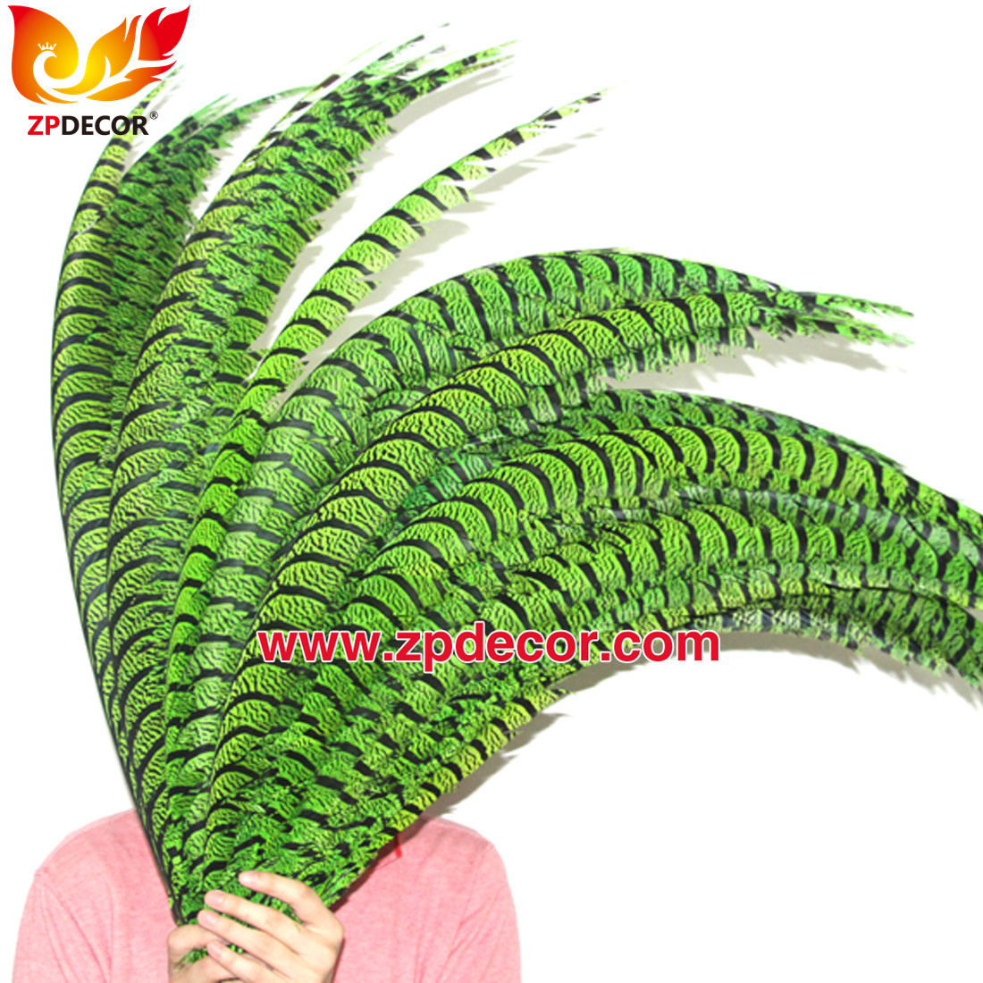 Zpdecor Feathers Factory Wholesale Dyed Lime Green Lady Amherst Pheasant Zebra Tail Feathers for Carnival Costumes Design
