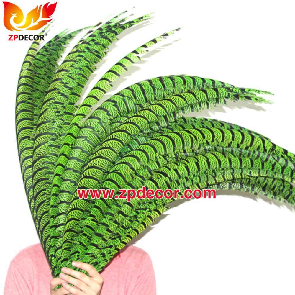Zpdecor Feathers Factory Wholesale Dyed Lime Green Lady Amherst Pheasant Zebra Tail Feathers for Carnival Costumes Design