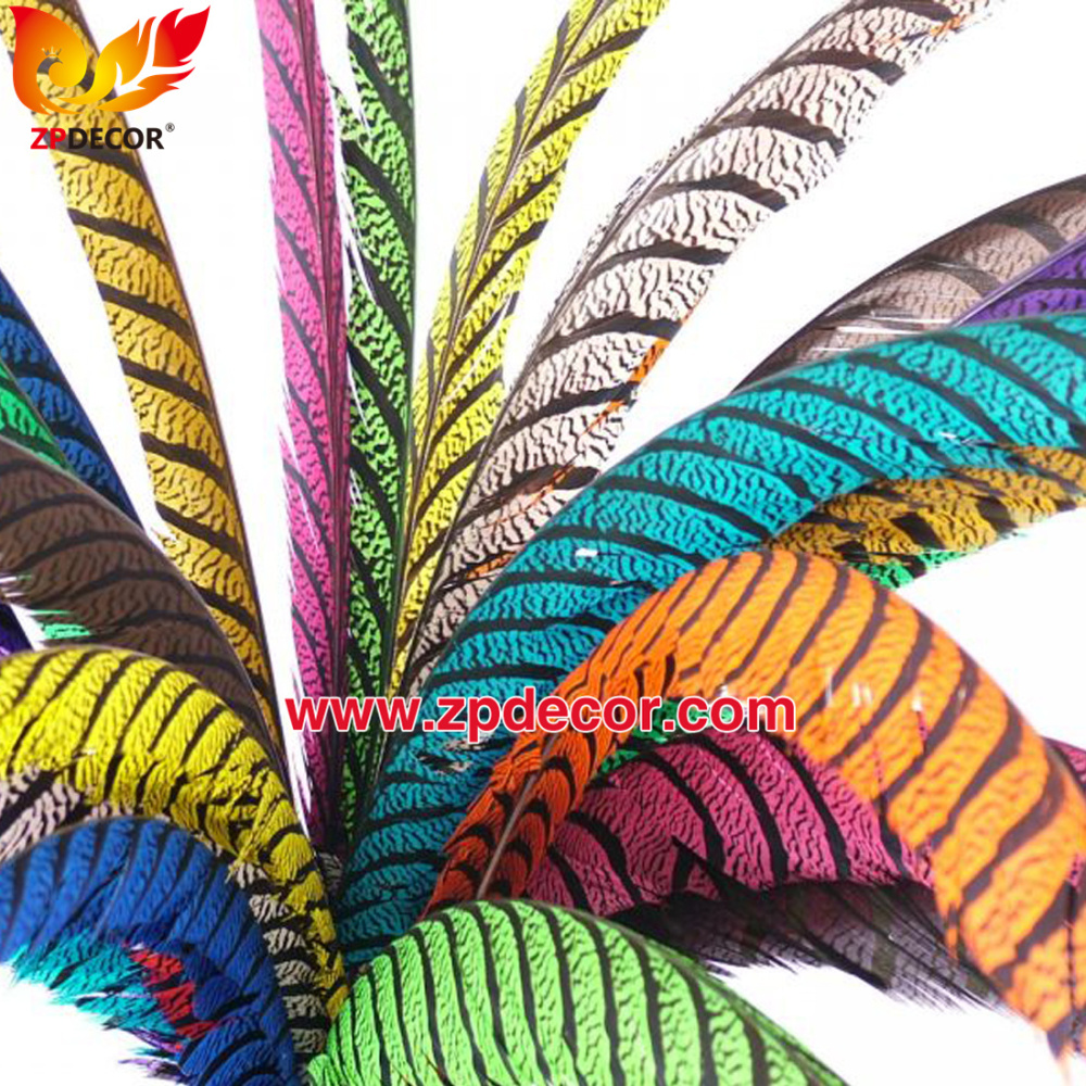 Zpdecor Feathers Factory Wholesale Dyed Lady Amherst Pheasant Zebra Tail Feathers for Carnival Costumes Design