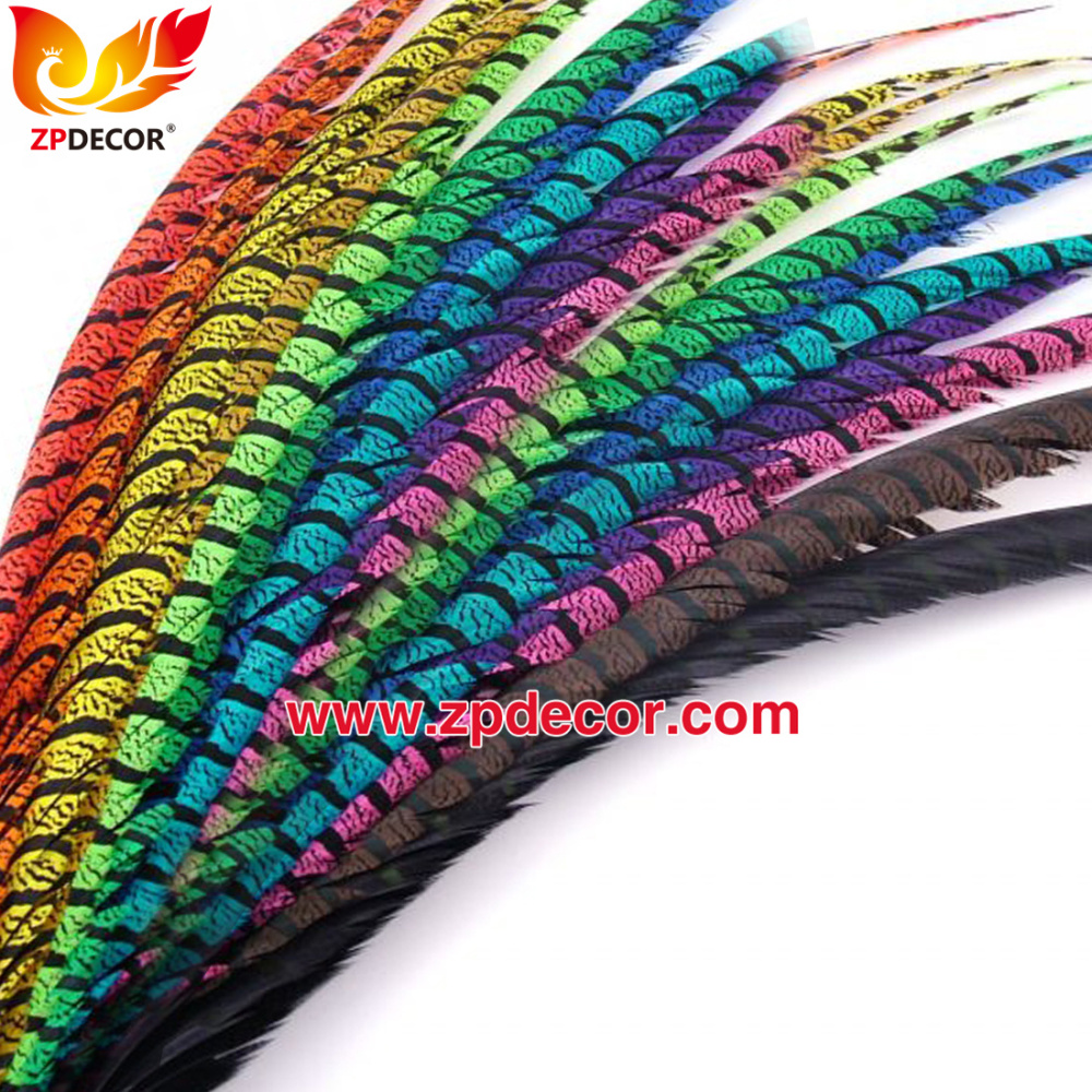 Zpdecor Feathers Factory Wholesale Dyed Lady Amherst Pheasant Zebra Tail Feathers for Carnival Costumes Design
