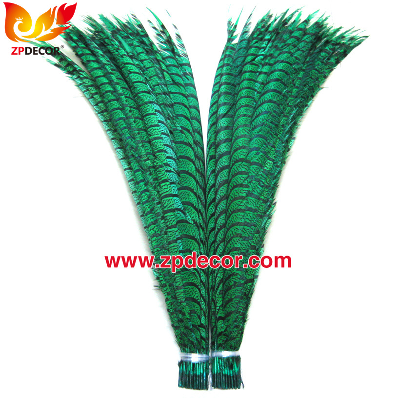 Zpdecor Feathers Factory Wholesale Dyed Green Lady Amherst Pheasant Zebra Tail Feathers for Carnival Costumes Design