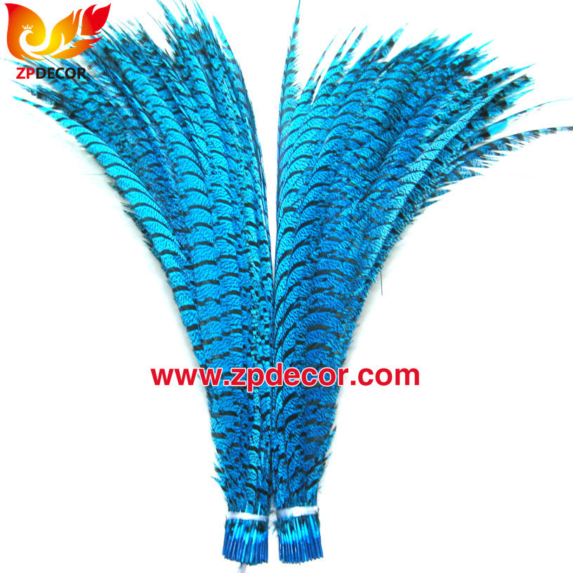Zpdecor Feathers Factory Wholesale Dyed Lady Amherst Pheasant Zebra Tail Feathers for Carnival Costumes Design