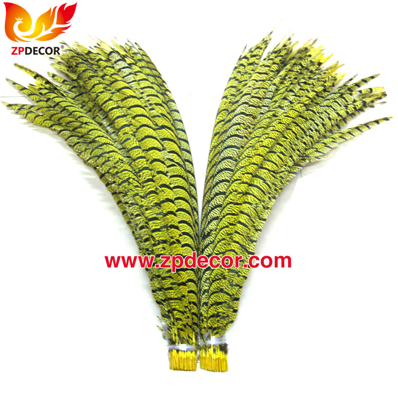 Zpdecor Feathers Factory Wholesale Dyed Yellow Lady Amherst Pheasant Zebra Tail Feathers for Carnival Costumes Design