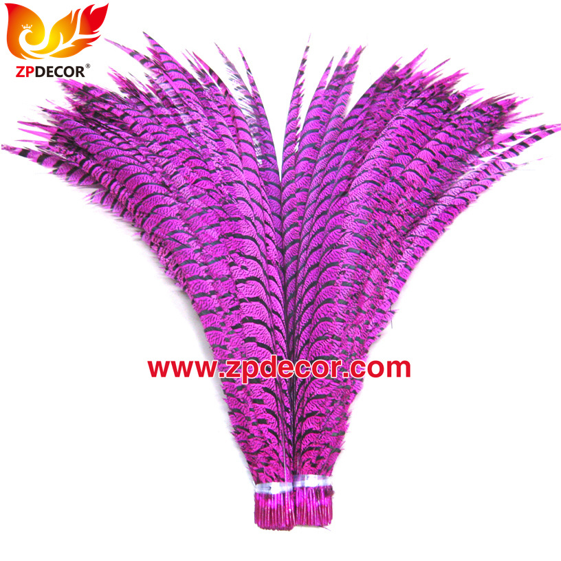Zpdecor Feathers Factory Wholesale Dyed Hot Pink Lady Amherst Pheasant Zebra Tail Feathers for Carnival Costumes Design