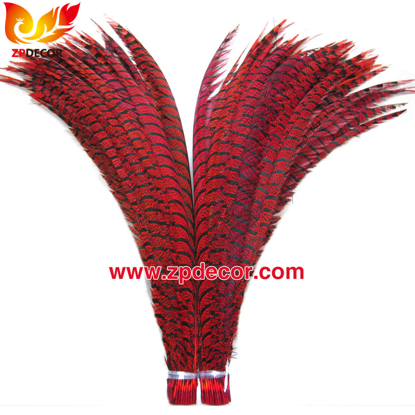 Zpdecor Feathers Factory Wholesale Dyed Red Lady Amherst Pheasant Zebra Tail Feathers for Carnival Costumes Design