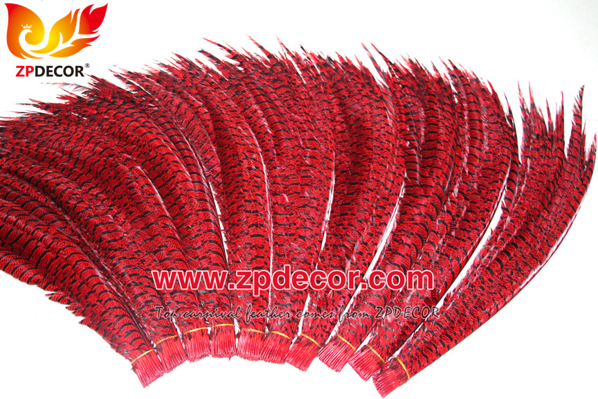 Zpdecor Feathers Factory Wholesale Dyed Red Lady Amherst Pheasant Zebra Tail Feathers for Carnival Costumes Design