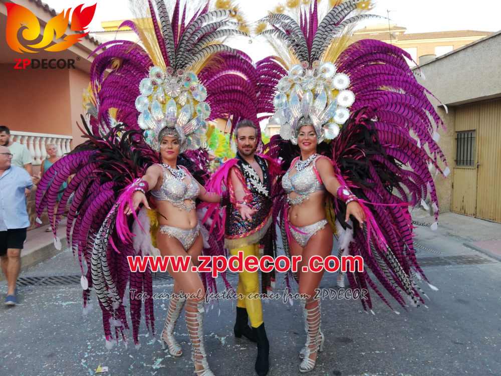 Zpdecor Feathers Factory Wholesale Dyed Hot Pink Lady Amherst Pheasant Zebra Tail Feathers for Carnival Costumes Design