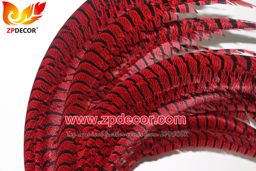 Zpdecor Feathers Factory Wholesale Dyed Red Lady Amherst Pheasant Zebra Tail Feathers for Carnival Costumes Design