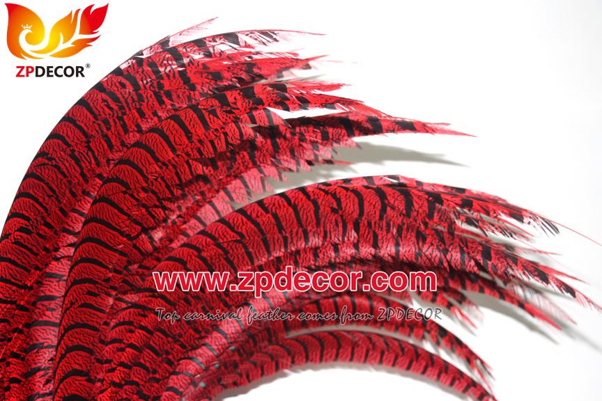 Zpdecor Feathers Factory Wholesale Dyed Red Lady Amherst Pheasant Zebra Tail Feathers for Carnival Costumes Design