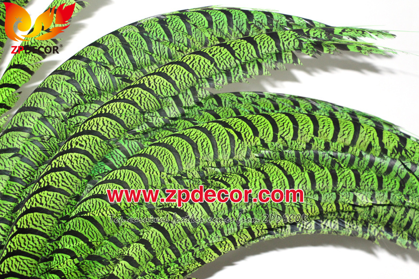Zpdecor Feathers Factory Wholesale Dyed Lime Green Lady Amherst Pheasant Zebra Tail Feathers for Carnival Costumes Design