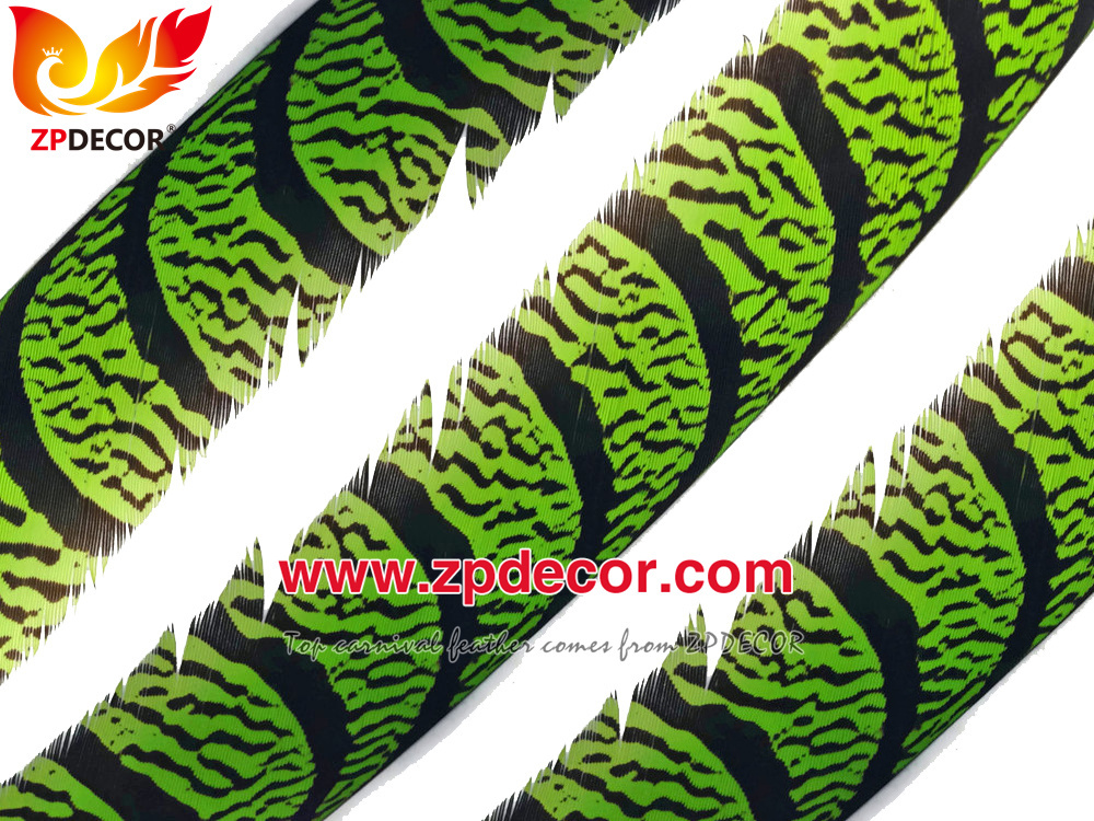 Zpdecor Feathers Factory Wholesale Dyed Lime Green Lady Amherst Pheasant Zebra Tail Feathers for Carnival Costumes Design