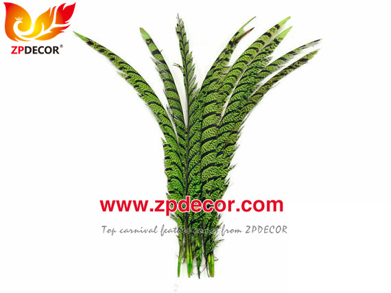 Zpdecor Feathers Factory Wholesale Dyed Lime Green Lady Amherst Pheasant Zebra Tail Feathers for Carnival Costumes Design