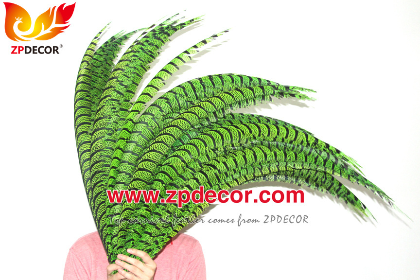 Zpdecor Feathers Factory Wholesale Dyed Lime Green Lady Amherst Pheasant Zebra Tail Feathers for Carnival Costumes Design