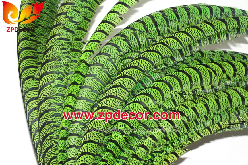 Zpdecor Feathers Factory Wholesale Dyed Lime Green Lady Amherst Pheasant Zebra Tail Feathers for Carnival Costumes Design