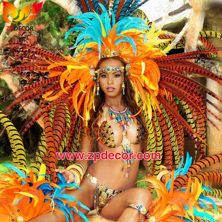 Zpdecor Feathers Factory Wholesale Dyed Lady Amherst Pheasant Zebra Tail Feathers for Carnival Costumes Design
