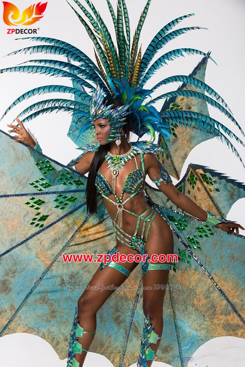 Zpdecor Feathers Factory Wholesale Dyed Turquoise Blue Lady Amherst Pheasant Zebra Tail Feathers for Carnival Costumes Design