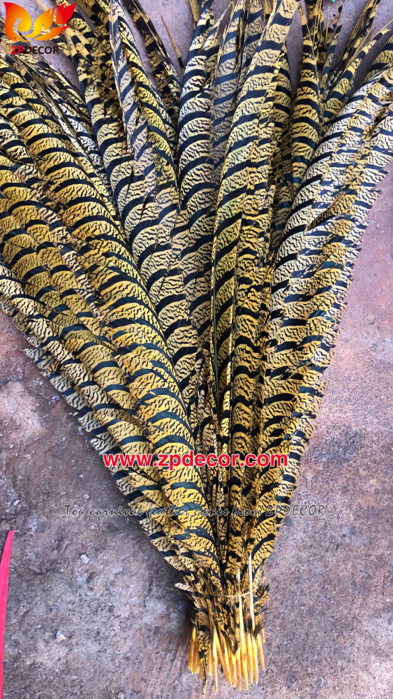 Zpdecor Feathers Factory Wholesale Dyed Lady Amherst Pheasant Zebra Tail Feathers for Carnival Costumes Design