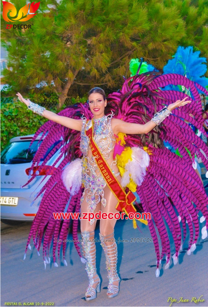 Zpdecor Feathers Factory Wholesale Dyed Hot Pink Lady Amherst Pheasant Zebra Tail Feathers for Carnival Costumes Design