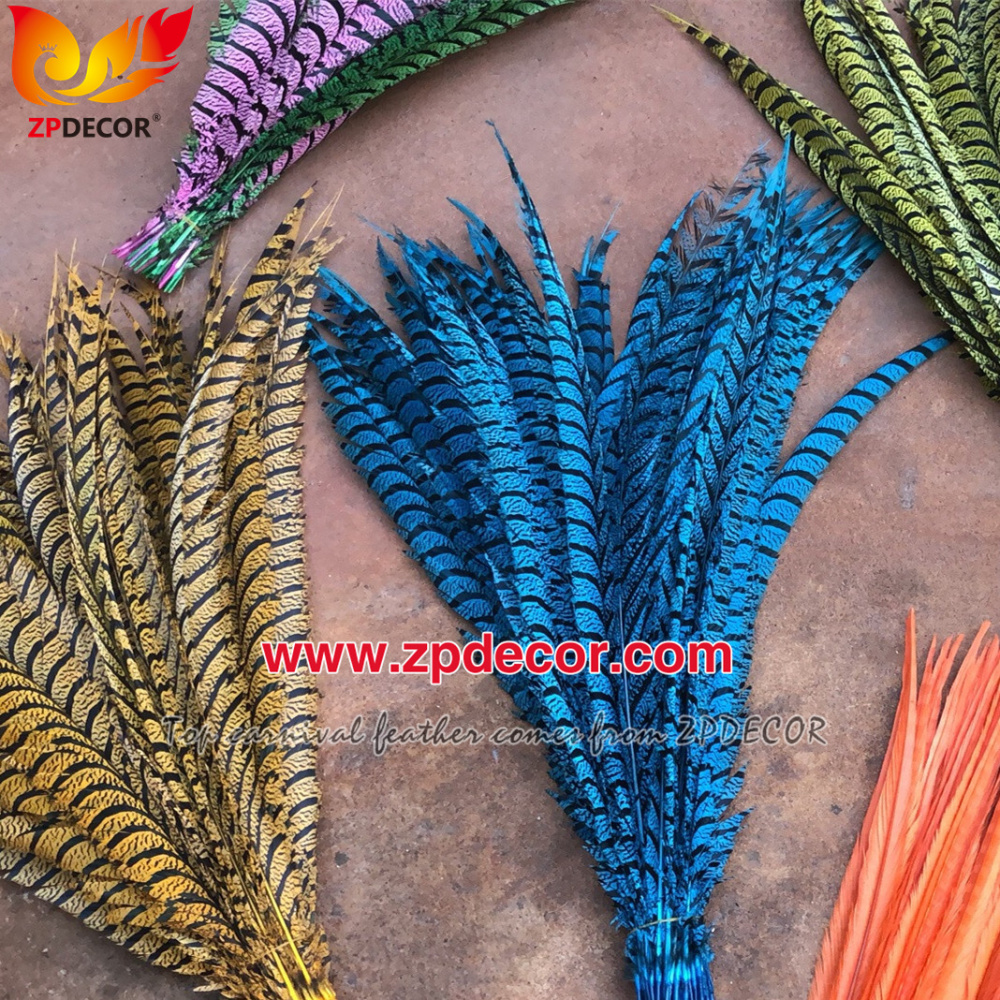 Zpdecor Feathers Factory Wholesale Dyed Lady Amherst Pheasant Zebra Tail Feathers for Carnival Costumes Design