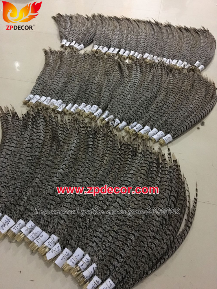 Zpdecor Feathers Factory Wholesale Dyed Lady Amherst Pheasant Zebra Tail Feathers for Carnival Costumes Design