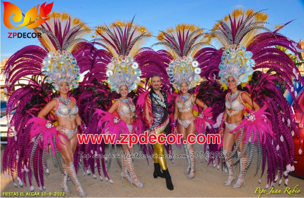 Zpdecor Feathers Factory Wholesale Dyed Hot Pink Lady Amherst Pheasant Zebra Tail Feathers for Carnival Costumes Design