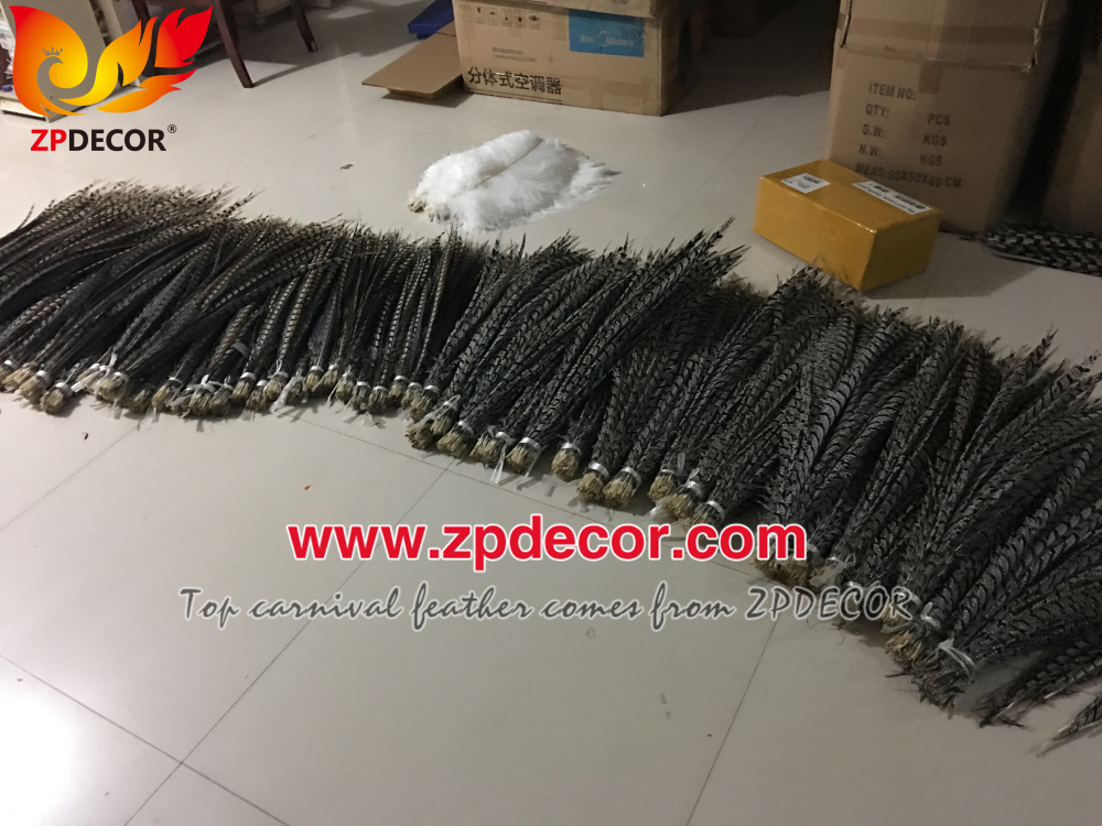 Zpdecor Feathers Factory Wholesale Dyed Lady Amherst Pheasant Zebra Tail Feathers for Carnival Costumes Design