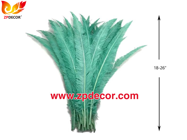Zpdecor Feathers Factory Wholesale Trimmed Mint Ostrich Nandu Feathers for Carnival Costumes