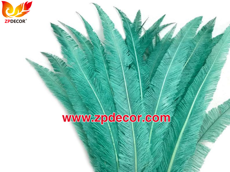 Zpdecor Feathers Factory Wholesale Trimmed Mint Ostrich Nandu Feathers for Carnival Costumes