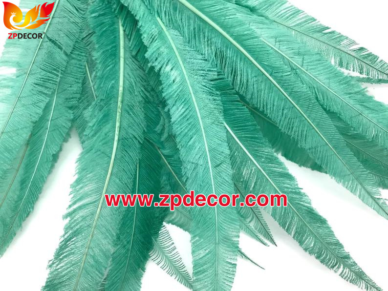 Zpdecor Feathers Factory Wholesale Trimmed Mint Ostrich Nandu Feathers for Carnival Costumes