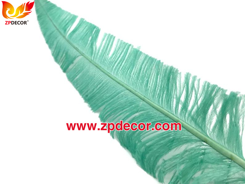 Zpdecor Feathers Factory Wholesale Trimmed Mint Ostrich Nandu Feathers for Carnival Costumes