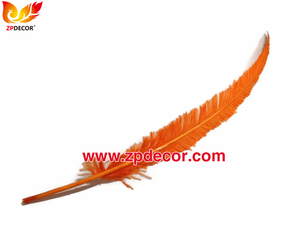 Zpdecor Feathers Factory Wholesale Trimmed Orange Ostrich Nandu Feathers for Carnival Costumes