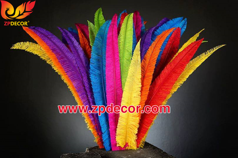 Zpdecor Feathers Factory Wholesale Trimmed Ostrich Nandu Feathers for Carnival Costumes