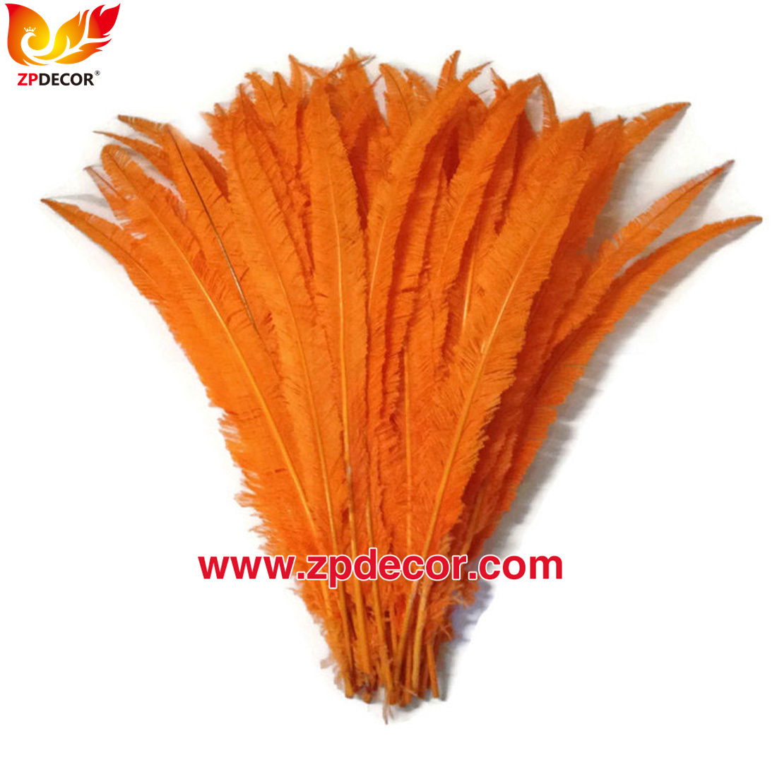 Zpdecor Feathers Factory Wholesale Trimmed Ostrich Nandu Feathers for Carnival Costumes
