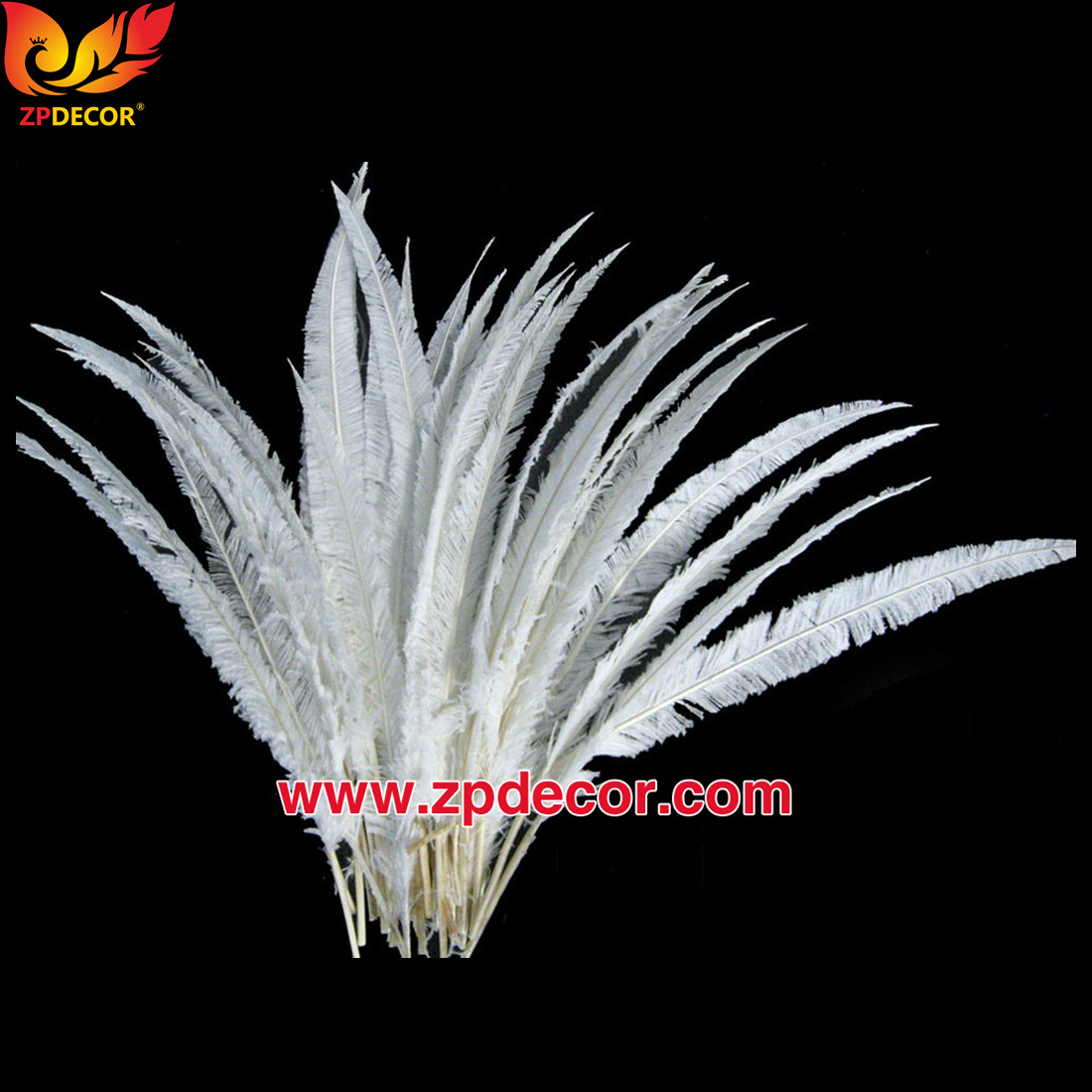 Zpdecor Feathers Factory Wholesale Trimmed Ostrich Nandu Feathers for Carnival Costumes