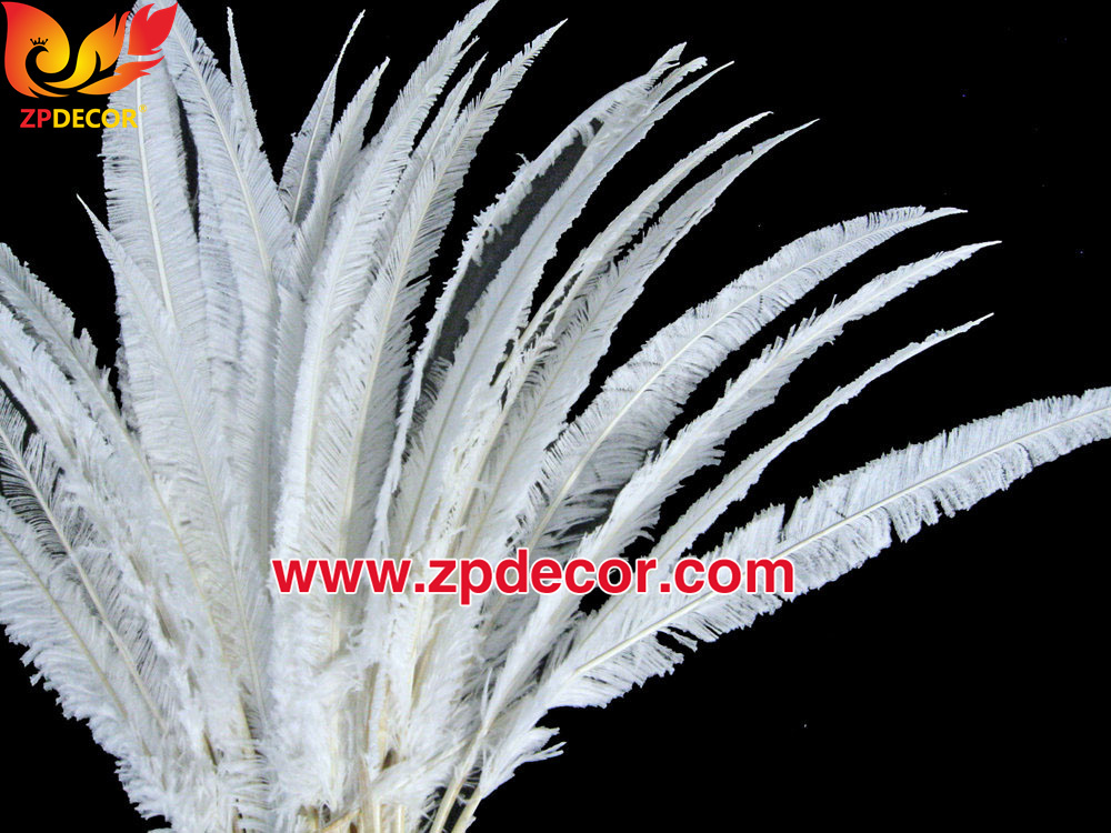 Zpdecor Feathers Factory Wholesale Trimmed White Ostrich Nandu Feathers for Carnival Costumes
