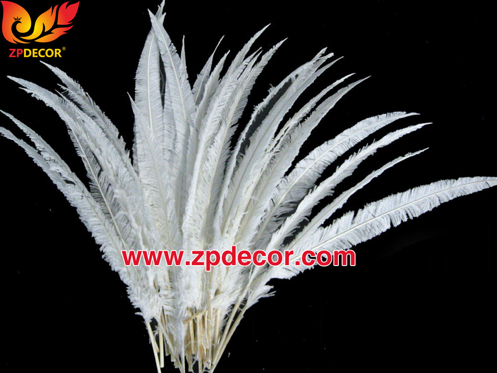 Zpdecor Feathers Factory Wholesale Trimmed White Ostrich Nandu Feathers for Carnival Costumes