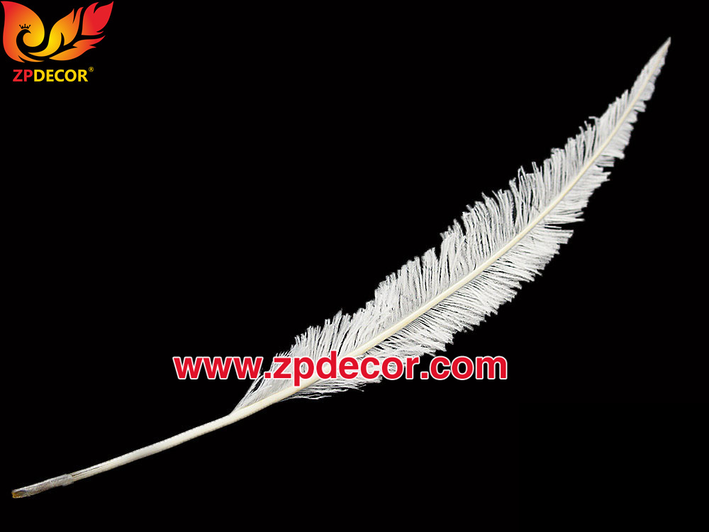 Zpdecor Feathers Factory Wholesale Trimmed White Ostrich Nandu Feathers for Carnival Costumes