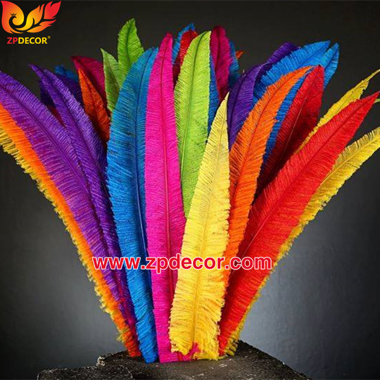 Zpdecor Feathers Factory Wholesale Trimmed Ostrich Nandu Feathers for Carnival Costumes