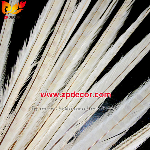Zpdecor Feathers Factory Wholesale 50-55 cm Bleached Dyed Ringneck Pheasant Tail Feathers for Carnival Costumes