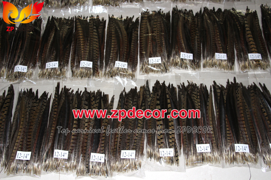 Zpdecor Feathers Factory Wholesale 25-30 cm Natural Ringneck Pheasant Tail Feathers for Amazon Seller