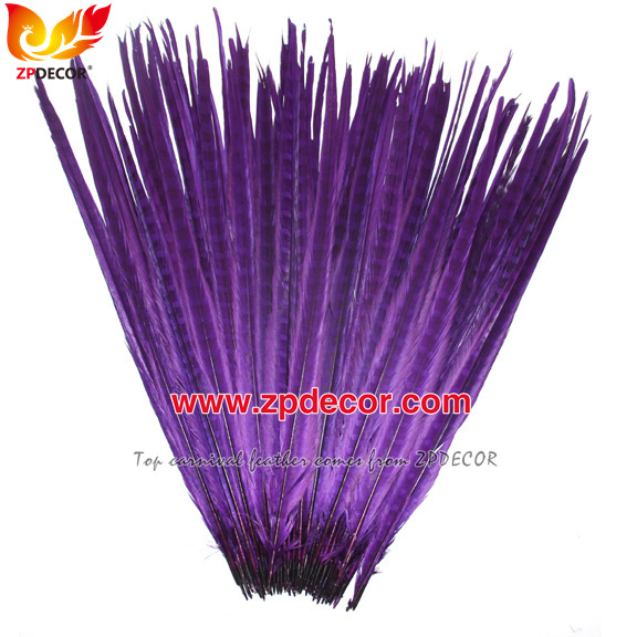 Zpdecor Feathers Factory Wholesale 50-55 cm Bleached Dyed Ringneck Pheasant Tail Feathers for Carnival Costumes
