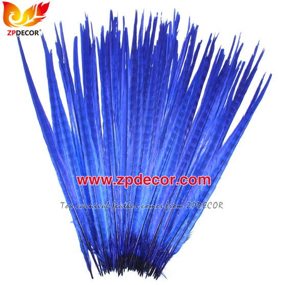 Zpdecor Feathers Factory Wholesale 50-55 cm Bleached Dyed Ringneck Pheasant Tail Feathers for Carnival Costumes